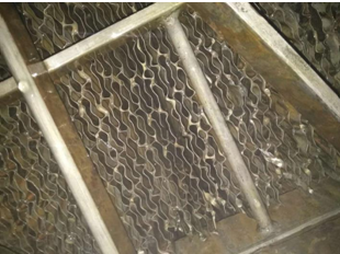 圖片.png 圖片.png