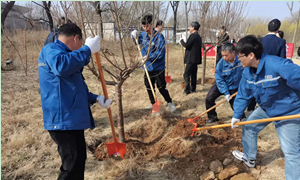 圖片.png 圖片.png