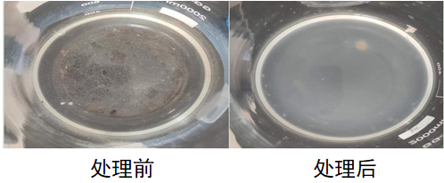 圖片.png 圖片.png